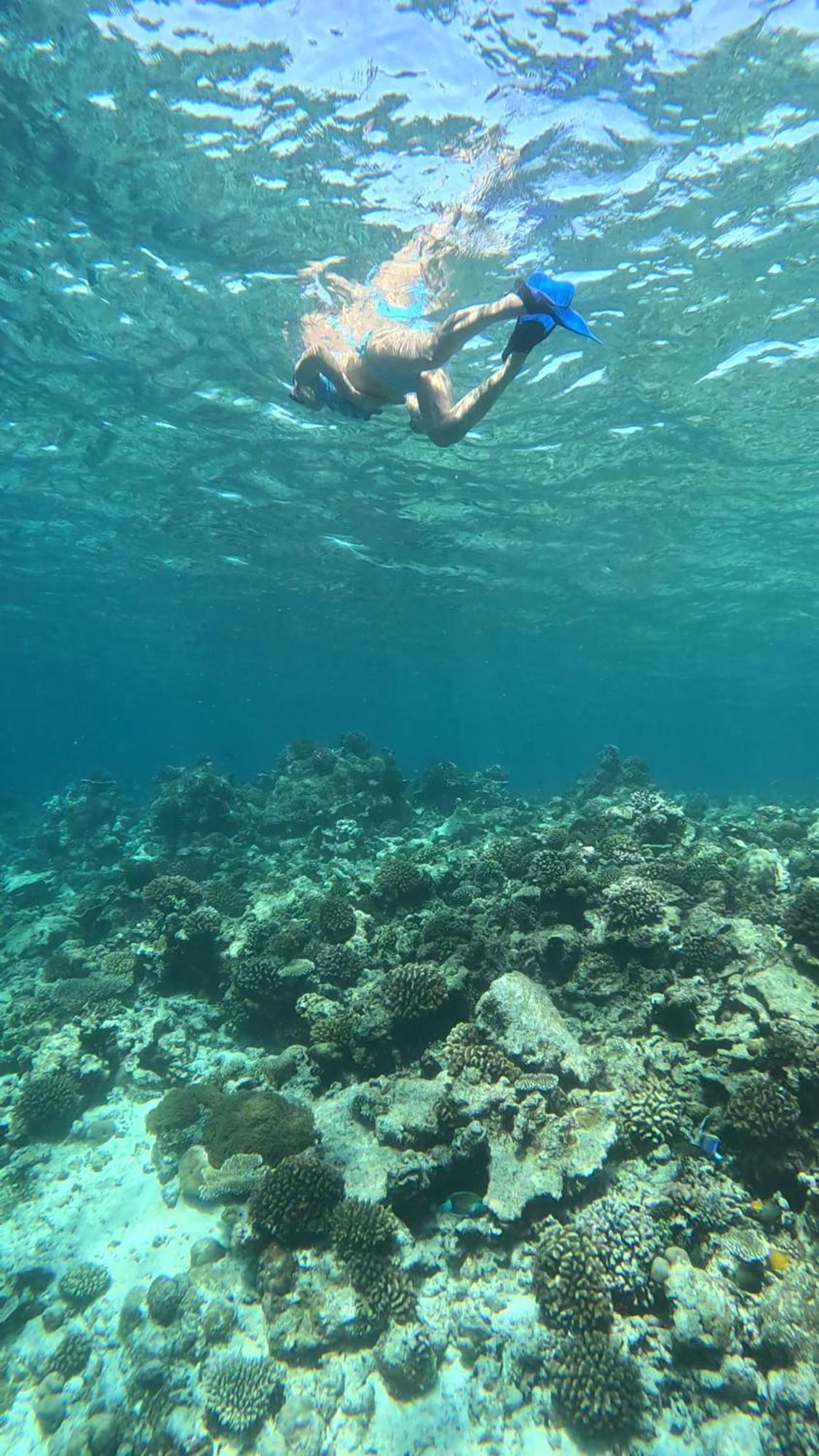 Hudhuvelimaldives Omadhoo Exterior foto